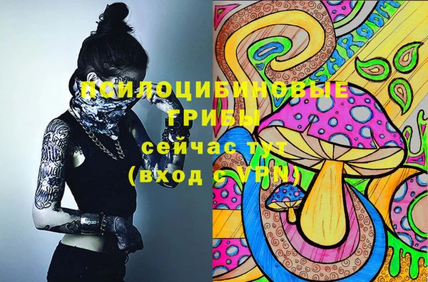 дурь Алексин