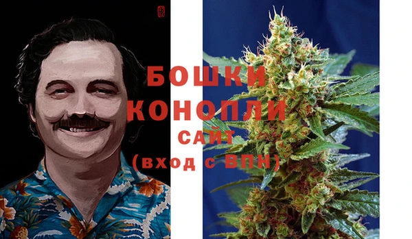 крисы Осташков