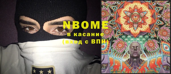 дурь Алексин