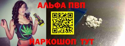СК Гатчина