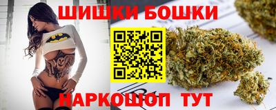 СК Гатчина
