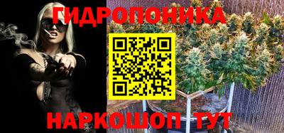 СК Гатчина