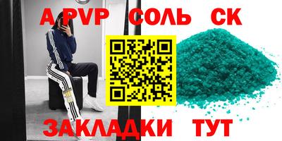 СК Гатчина
