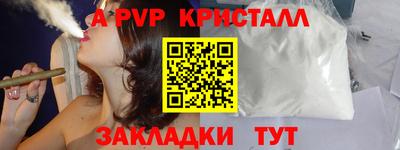 СК Гатчина