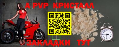 прущие крисы Гай
