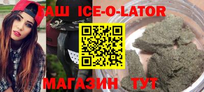 СК Гатчина