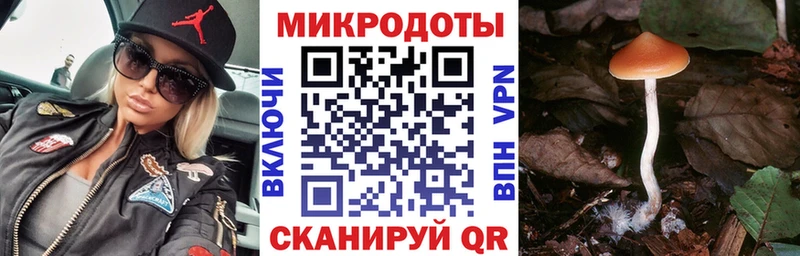 Галлюциногенные грибы ЛСД Брянск