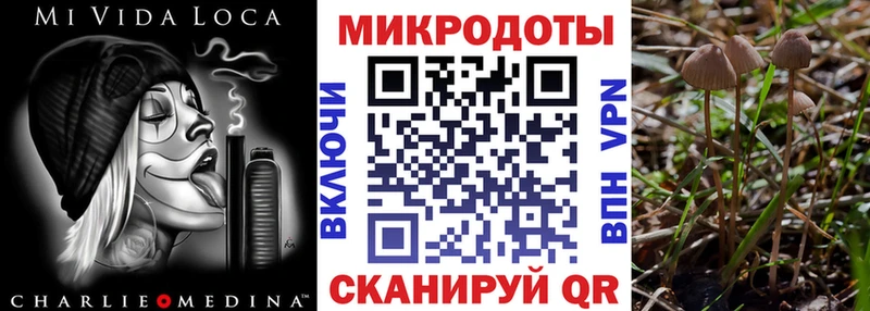 Псилоцибиновые грибы Cubensis  Брянск 