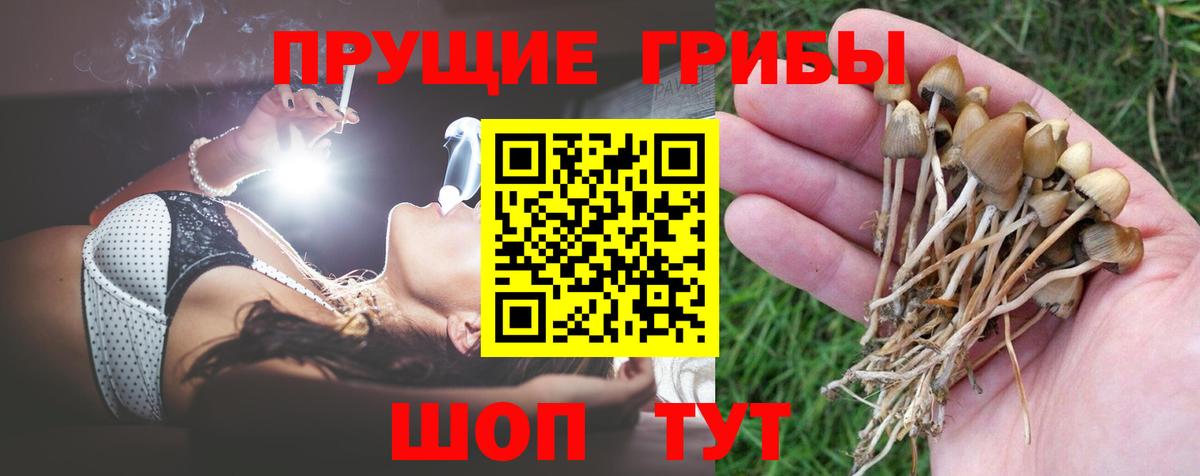 Галлюциногенные грибы MAGIC MUSHROOMS  Вход с VPN  Брянск  Псилоцибиновые грибы Cubensis 