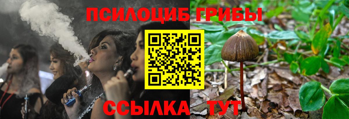 Галлюциногенные грибы прущие грибы Брянск