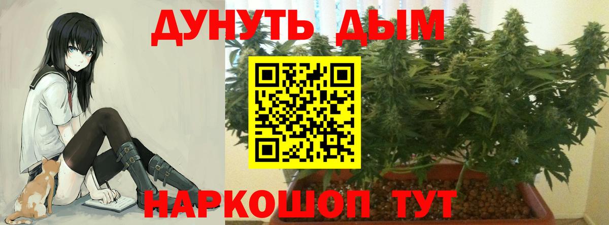 МАРИХУАНА VHQ  Вход с VPN  Брянск  Бошки Шишки THC 21%  Марихуана гибрид  Бошки марихуана марихуана 